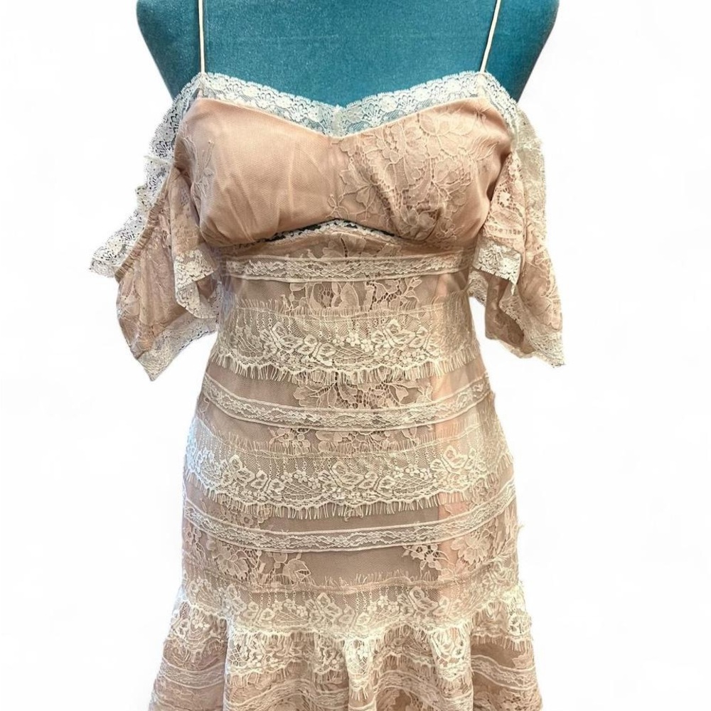 NBD‎ Pink Lace Detail Dress